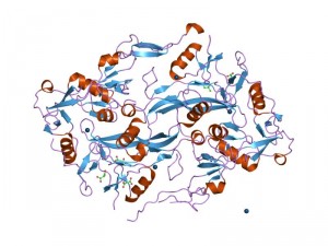 геном FST