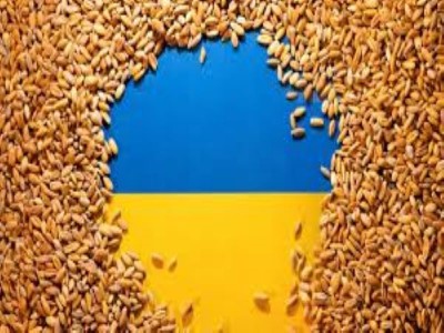 зерно Україна